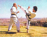Grand Master Chang Sik Lee